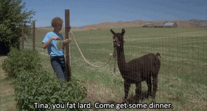famous and funniest Napoleon Dynamite quotes