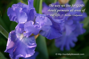 ... we live for God should permeate all areas of life. ~ Author Unknown