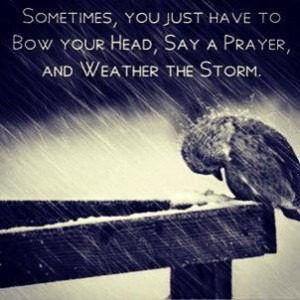 Weather the storm..