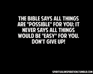give up! Perseverance will carry you to the promise. Perseverance ...