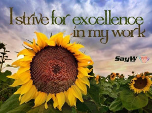 strive for excellence in my work.