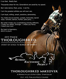 Thoroughbred Makeover is Bigger, Interactive