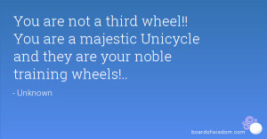 You are not a third wheel!! You are a majestic Unicycle and they are ...