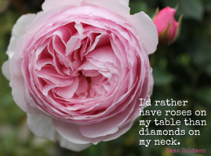 rose quote