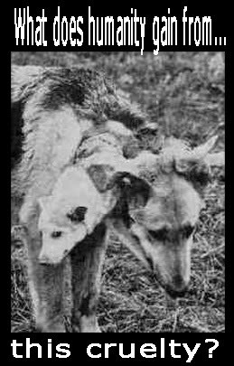 inefficient and unpredictable technology and it should not be allowed ...