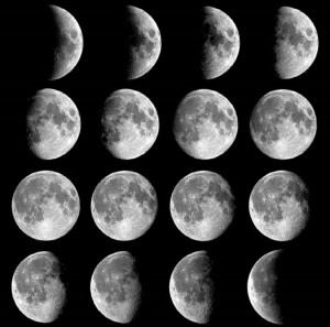 black and white, moon, moon phases