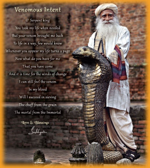 Sadhguru Quotes, Sadhguru Teachings -Sadhguru, yogi, mystic, visionary ...