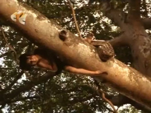 The Second Jungle Book Mowgli And Baloo Kaa