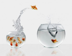 The number one imperative for business ? Retain talent