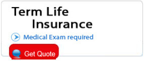 ... term life insurance apply for a free term life insurance quotes online