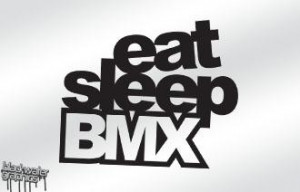BMX/Skate/Surf Stickers