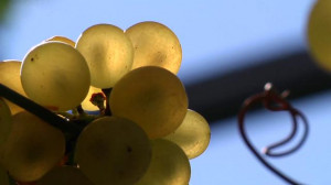 lutherans life life quotes