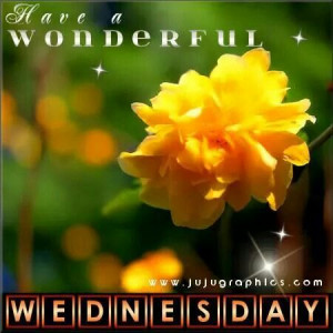 Have a wonderful Wednesday. ...Wonder Wednesday, Wednesday Quotes