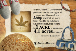 acre of hemp equals 4 1 acres of trees