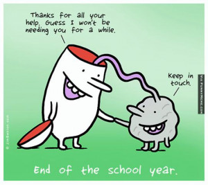 Funny memes – End of the school year