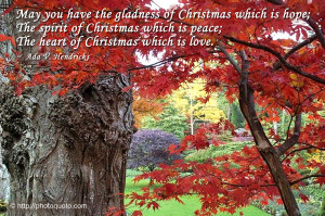 Famous Christmas Quotes And...