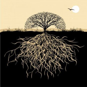 Celtic tree of life meaning