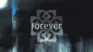 breaking dawn benjamin