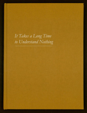 it takes a long time to understand nothing