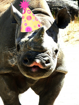 Happy Birthday Alvin Lee Rhino