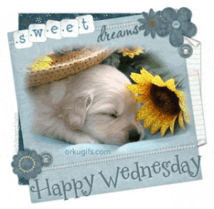 Wednesday Graphics, Comments, Images and ecards