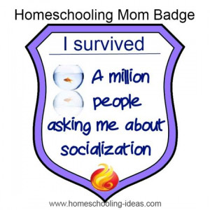 What do you think about homeschooling and socialization?