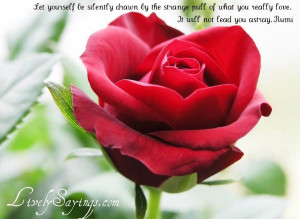 Rose is a Rose is Rose is a Rose