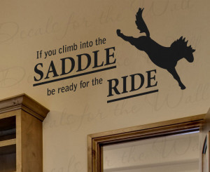 If You Climb Saddle Be Ready For The Ride