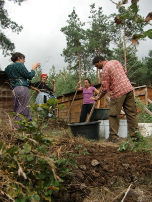 Seasons of Soil” Soil Microbiology for Food Growing – April 2015 ...