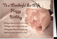 birthday card for ex-wife. A pale pink rose on a delicate lace ...