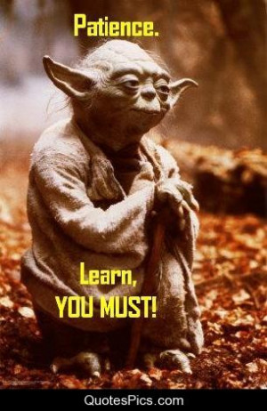 Rule # 4: Patience...learn, you must! - Yoda