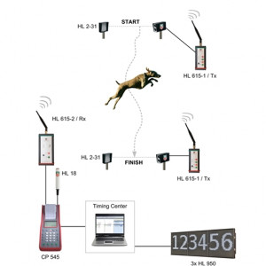 Dog Agility Solution - Race Timing Systems