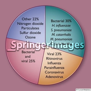 Identifiable causes of COPD exacerbations