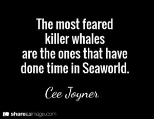 ... whales are the ones that have done time in Seaworld. / Cee Joyner