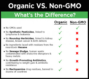 -GMO. USDA organic regulations prohibit any genetically modified (GMO ...