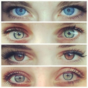 amazing, blue eyes, brown eyes, eyes, green eyes, grey eyes, pretty