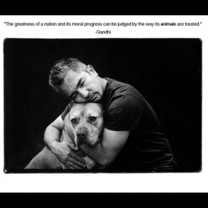 Cesar's favorite quote. What are some of your favorite animal quotes?