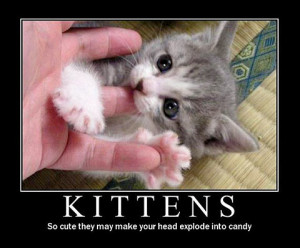 Kittens - motivational poster