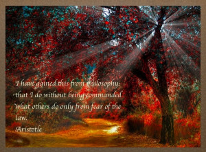 ... being commanded what others do only from fear of the law. -Aristotle