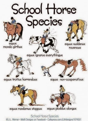 ... .com/post/59440415242/a-life-with-horses-by-your-side-horsey-quotes