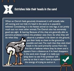 Myth-Ostriches+hide+their+heads+in+the+sand.jpg