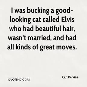 was bucking a good-looking cat called Elvis who had beautiful hair ...