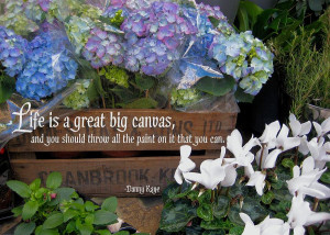 Flower Box Quote Photograph