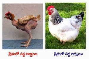 boy and girl best friend quotes quotes about liking a boy with a ...