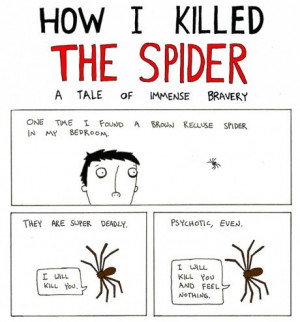 grand plan to kill a spider 2dayblog how to kill a lobster 460x495