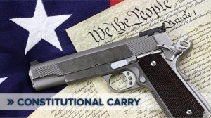 constitutional-carry-gun.jpg