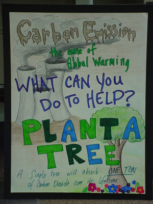 Conservation Of Natural Resources Poster