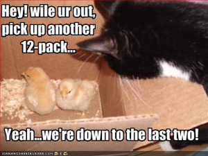 By Admin on April 26, 2012 Funny Animal Pictures