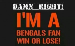 NFL Cincinnati Bengals meme wallpaper