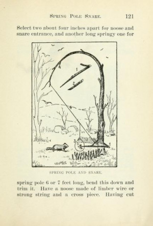 Details about Trapping Survival CD 34 Books Traps, Deadfalls, Snares